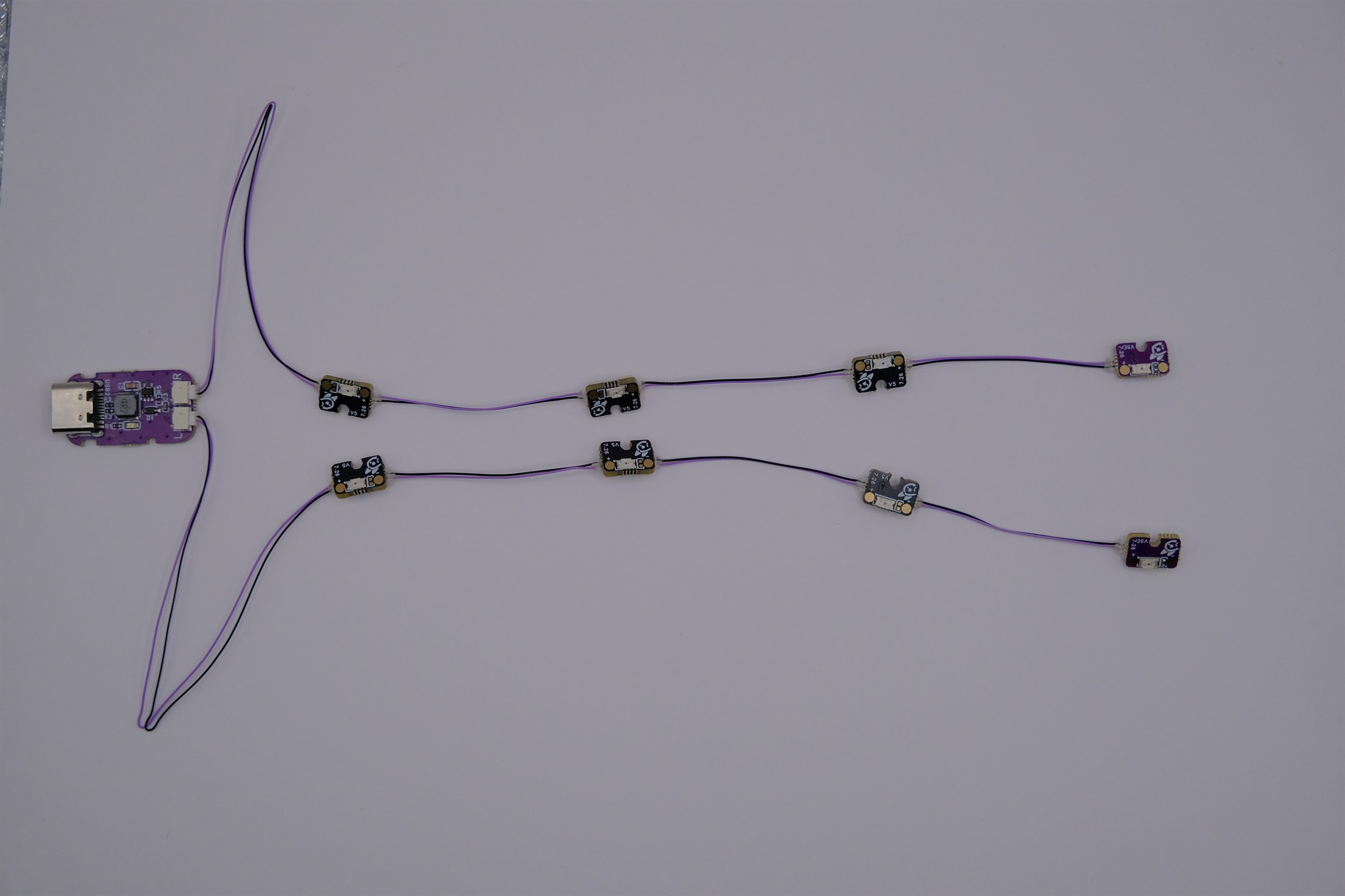 First correct full V5 dual-eye assembly